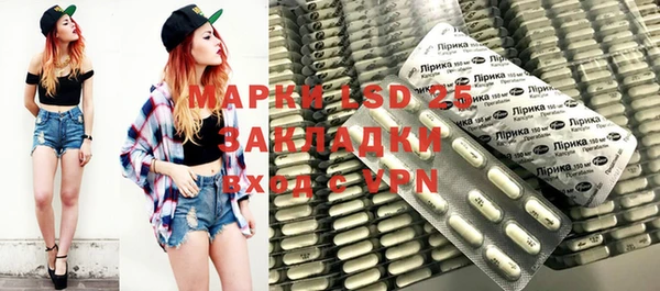 СК Новодвинск