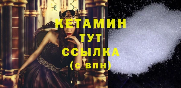 твердый Новозыбков