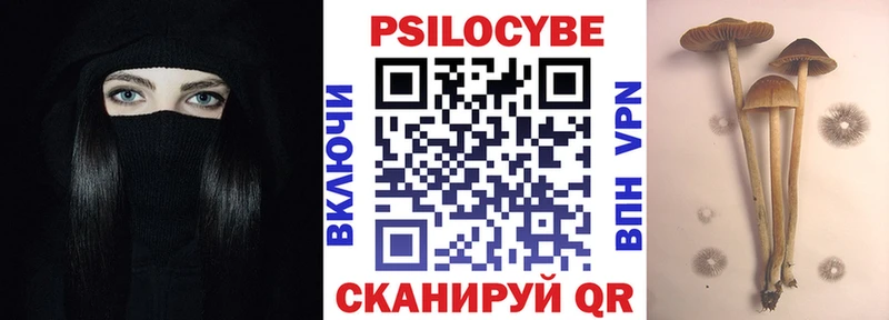 хочу наркоту  blacksprut ССЫЛКА  Псилоцибиновые грибы мицелий  Суджа 